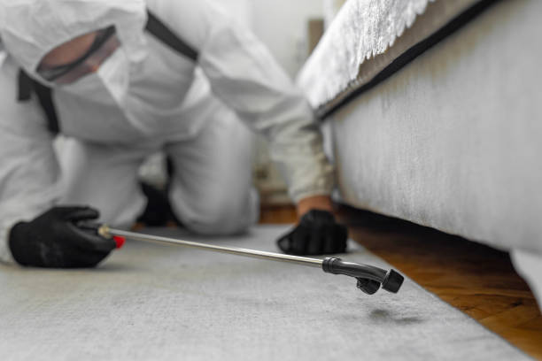 Professional Termite Control technician working in Greenup County County, KY